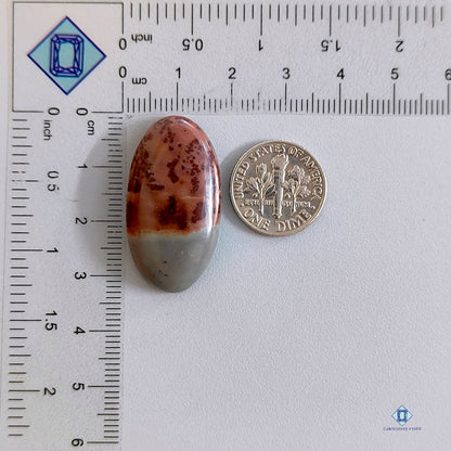 Coffee Bean Jasper Oval Cabochons