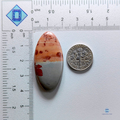 Coffee Bean Jasper Marquise Cabochons