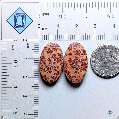 Coffee Bean Jasper Oval Pairs