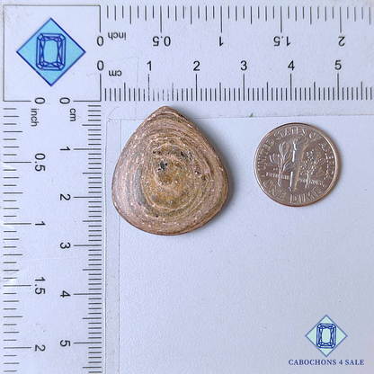 Copper Mica Pear Cabochons