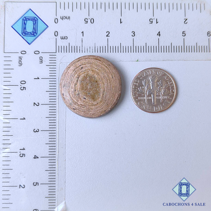 Copper Mica Round Cabochons