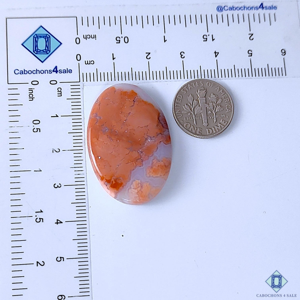 Cabochons4sale oval orange and white opaque cotton candy agate cabochon gemstone next to a US dime for scale