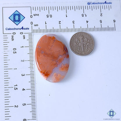 Cabochons4sale oval orange and white opaque cotton candy agate cabochon gemstone next to a US dime for scale