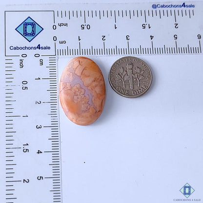 Cabochons4sale oval orange cotton candy agate cabochon gemstone measuring 29x18x4mm next to a US dime for scale.