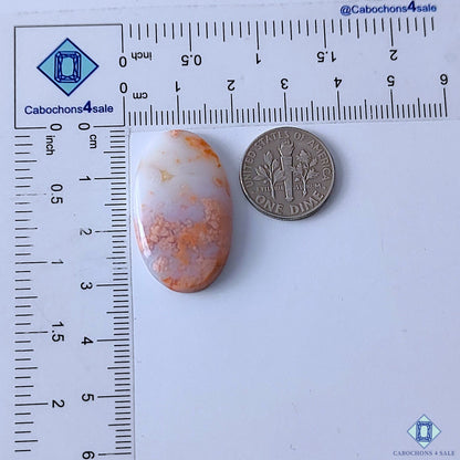Cabochons4sale oval cotton candy agate cabochon in orange and white, 31x18mm, shown next to a US dime for scale.