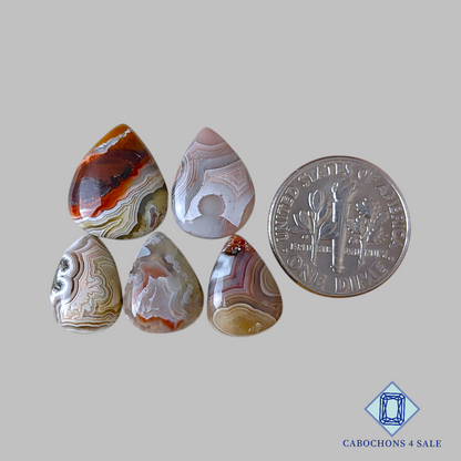 Natural Crazy Lace Agate Pear Lots