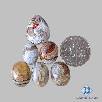 Natural Crazy Lace Agate   Mix Shape Lots