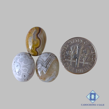 Lotes ovalados de ágata de encaje loco natural