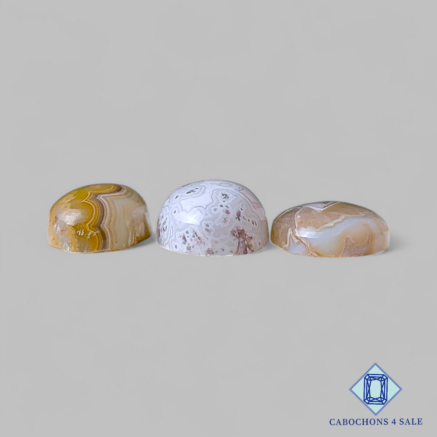 Lotes ovalados de ágata de encaje loco natural