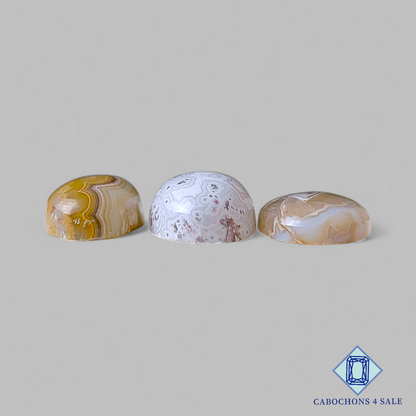 Lotes ovalados de ágata de encaje loco natural