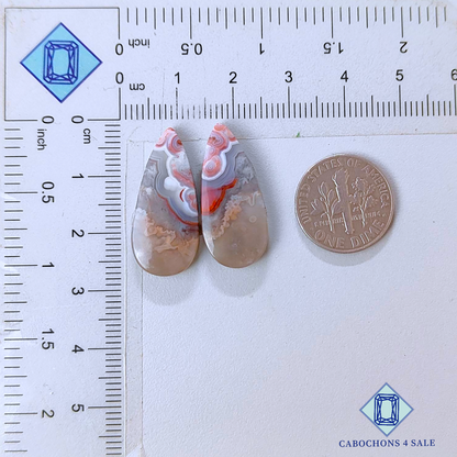 Crazy Lace Agate Pear Pairs