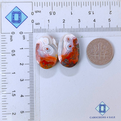 Pares ovalados de ágata de encaje loco