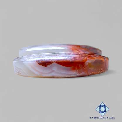 Pares ovalados de ágata de encaje loco