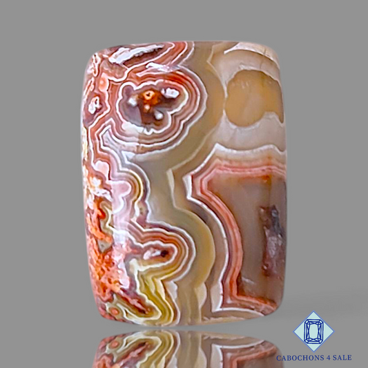 Crazy Lace Agate