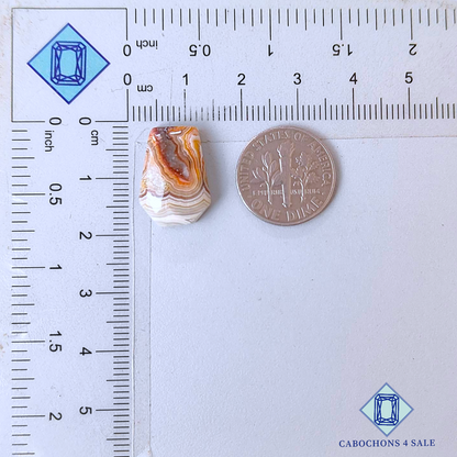 Crazy Lace Agate Fancy Cabochons