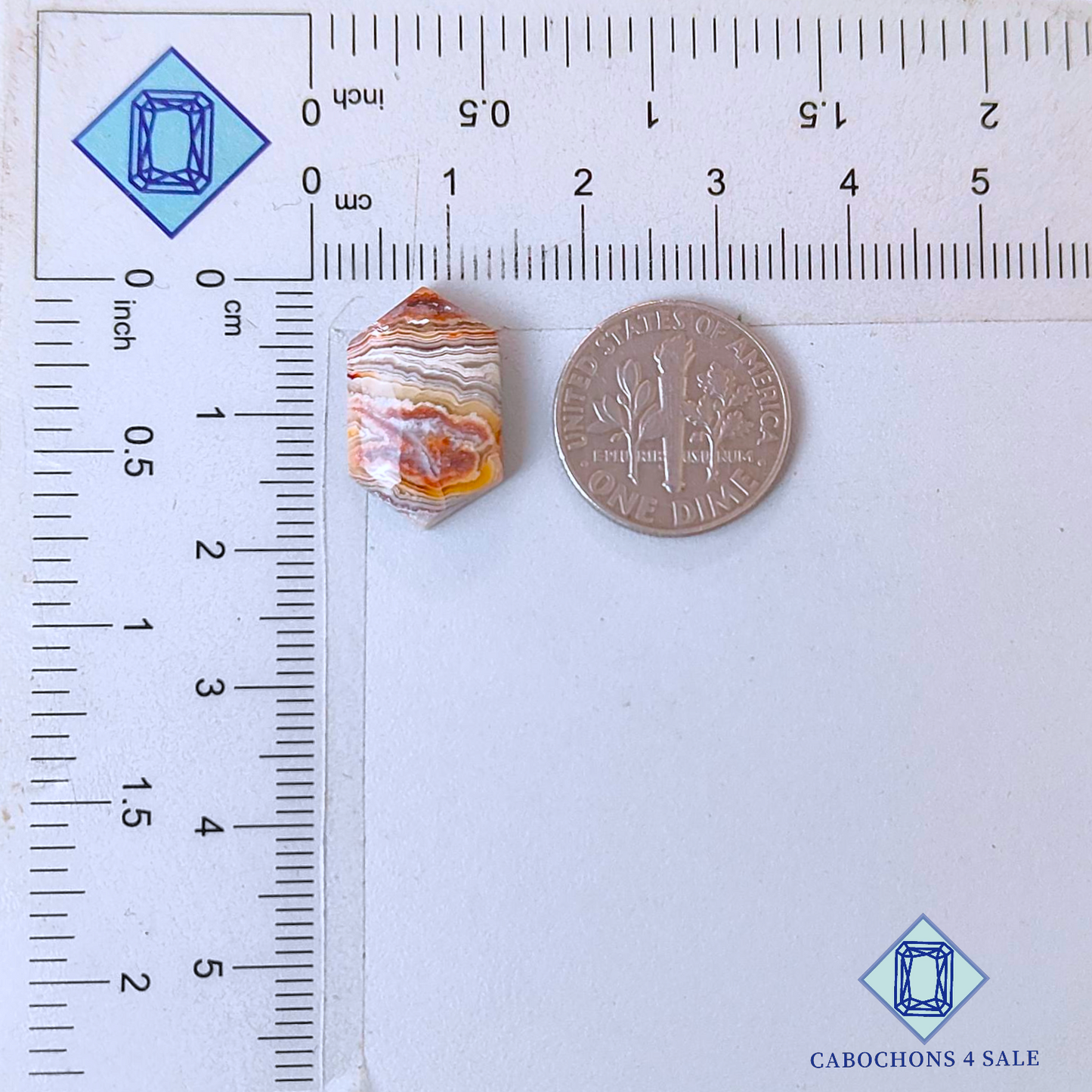 Cabujones hexagonales de ágata de encaje loco