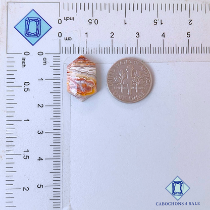 Cabujones hexagonales de ágata de encaje loco