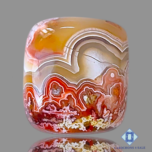 Crazy Lace Agate