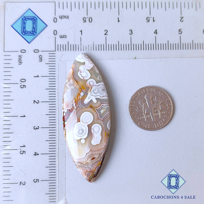 Crazy Lace Agate Marquise Cabochons 50*18*6mm