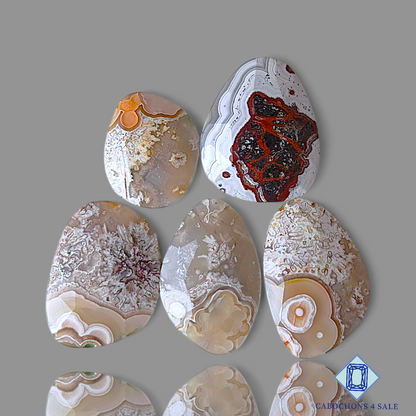 Crazy Lace Agate