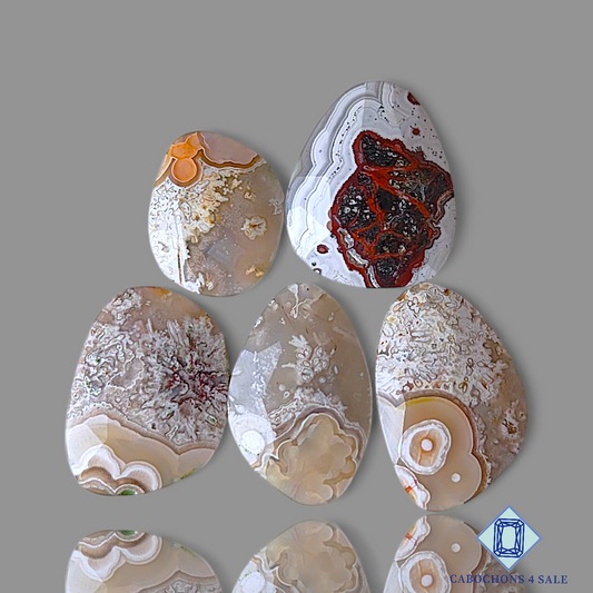 Crazy Lace Agate