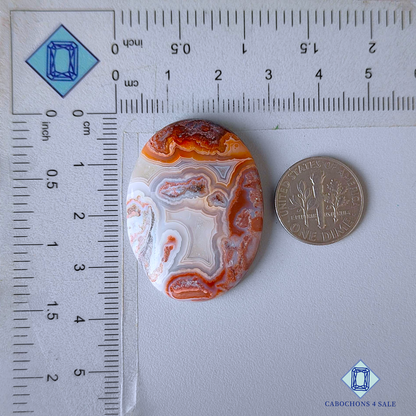 Crazy Lace Agate