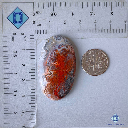 Crazy Lace Agate