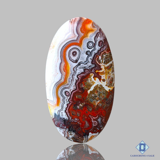 Crazy Lace Agate