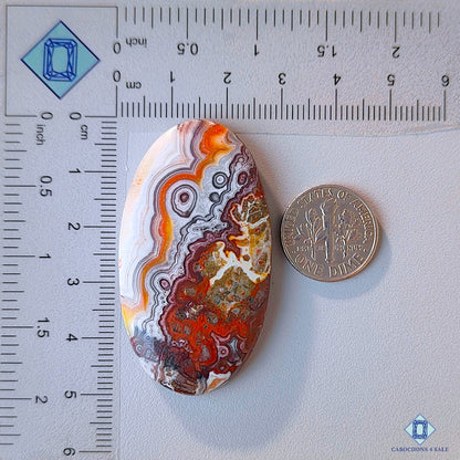 Crazy Lace Agate
