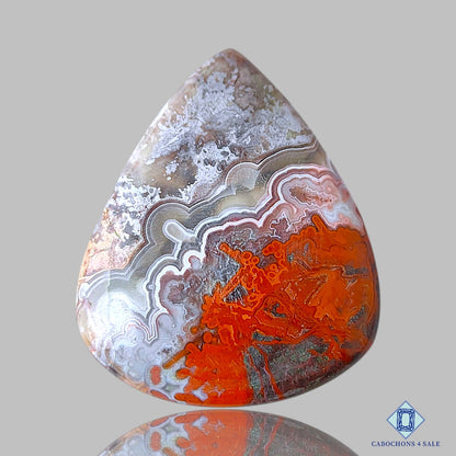 Crazy Lace Agate