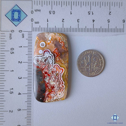 Crazy Lace Agate
