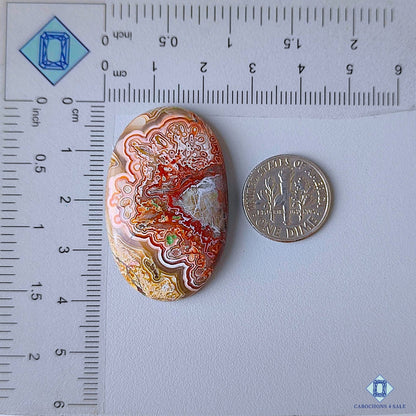 Crazy Lace Agate