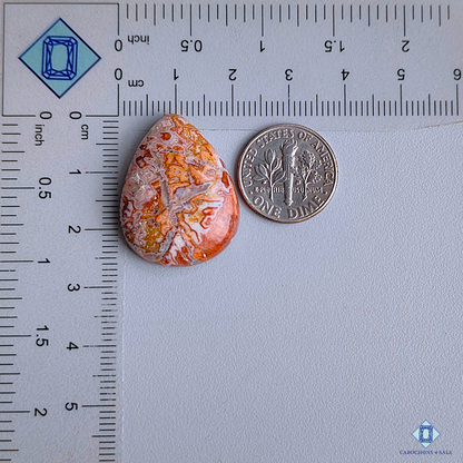 Crazy Lace Agate
