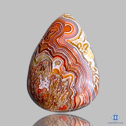 Crazy Lace Agate