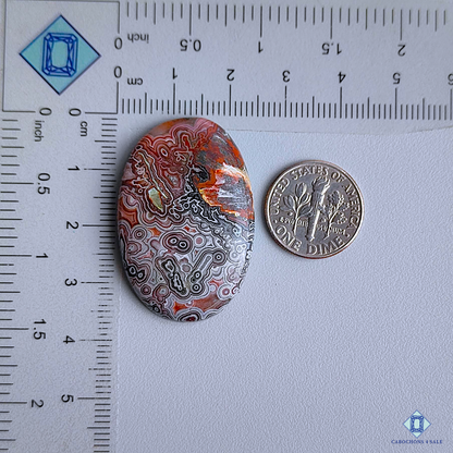 Crazy Lace Agate