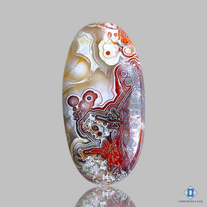 Crazy Lace Agate