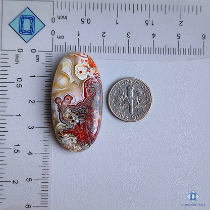Crazy Lace Agate