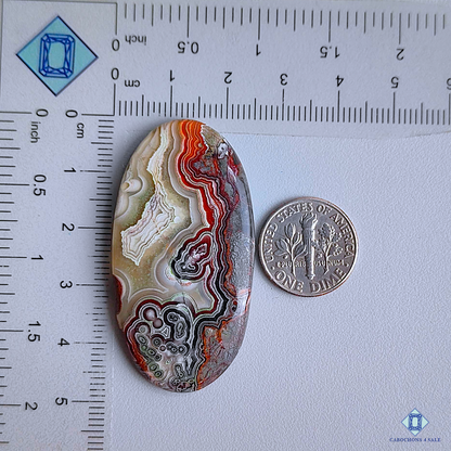 Crazy Lace Agate