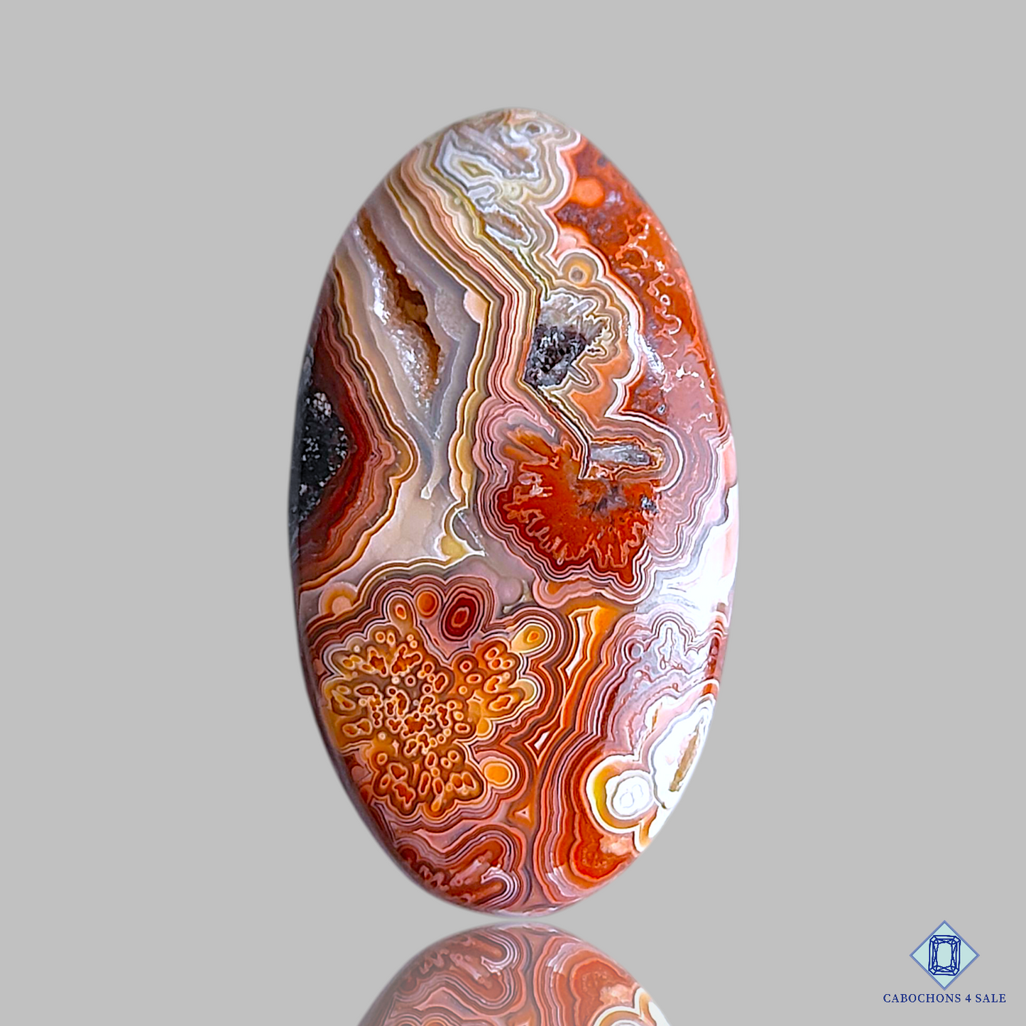 Crazy Lace Agate