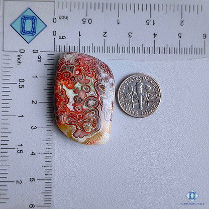 Crazy Lace Agate