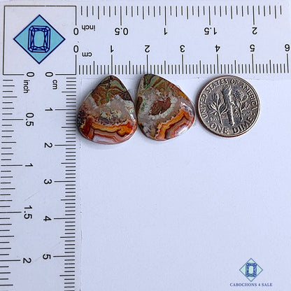 Crazy Lace Agate
