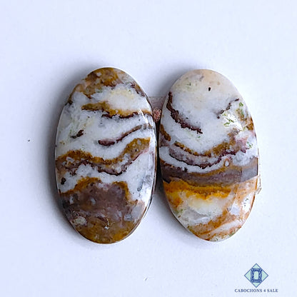Crazy Lace Agate