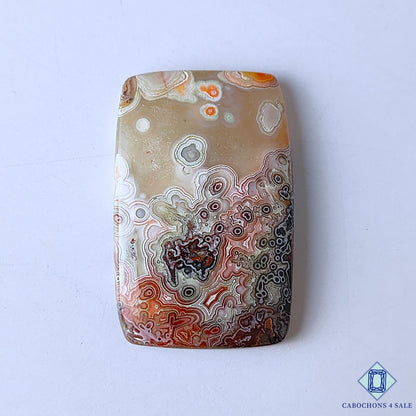 Crazy Lace Agate
