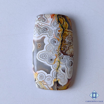Crazy Lace Agate