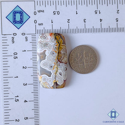 Crazy Lace Agate