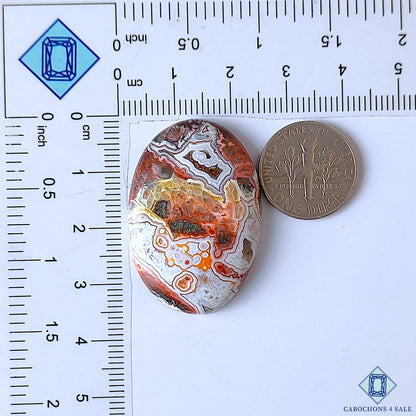 Crazy Lace Agate