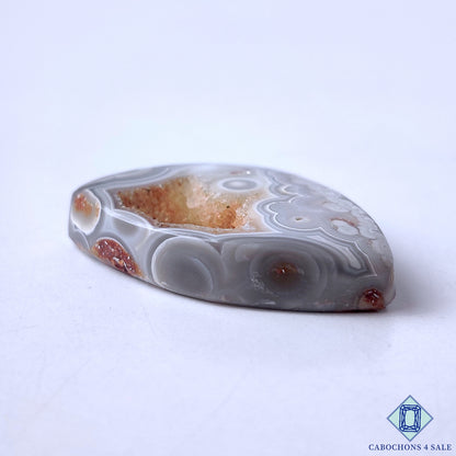 Crazy Lace Agate