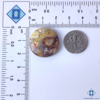 Crazy Lace Agate