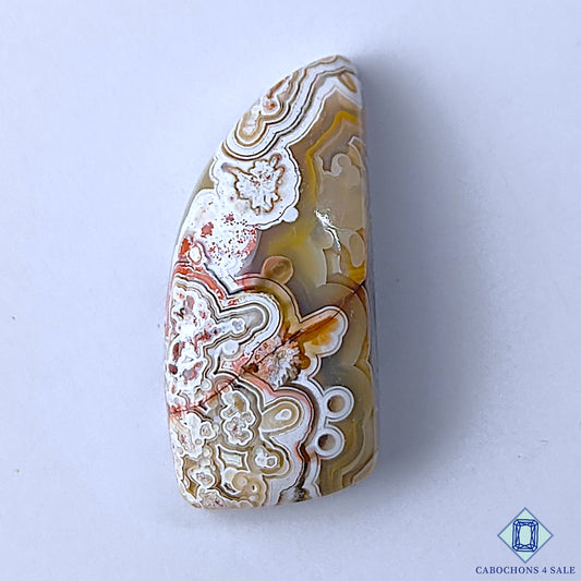 Crazy Lace Agate