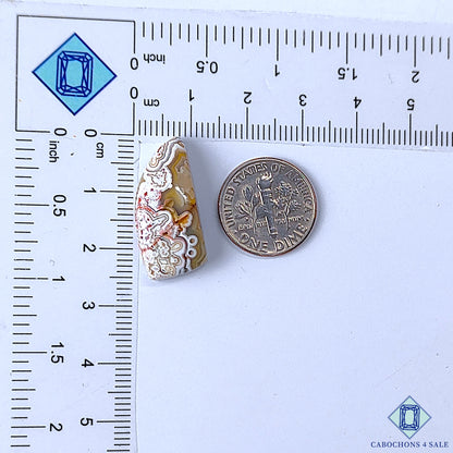 Crazy Lace Agate
